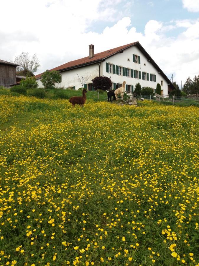 Le Peuchapatte Ferme O'Cles 아파트 외부 사진